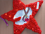 Шилипати Михаил Константинович СП ДО МАОУ Созоновской СОШ Тюменский муниципальный округ «Новогодняя звезда»